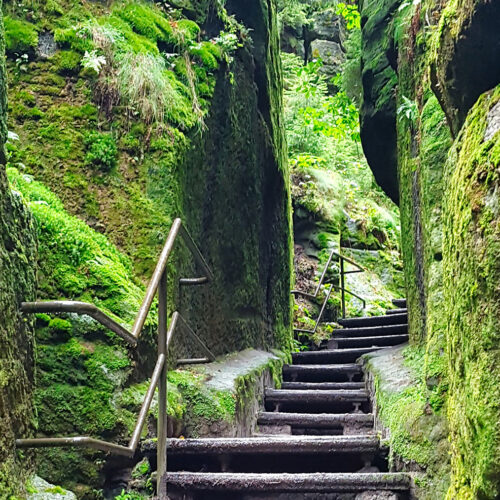 Lohmener Grund, Adobe Stock
